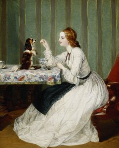 Doações recebidas com gratidão, 1862