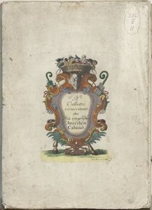 Impressão do título da série: Il Callotto resurcitato ou Gabinete midi recém mobiliado, cerca de 1710 Il Callotto resurcitato ou Armário Pequeno Recém Mobilado (título da série) de Martin Engelbrecht (attributed to)