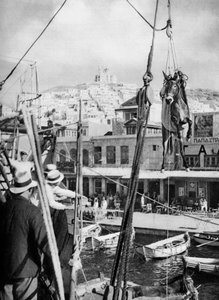 O envio de mulas, Ilha de Syros, Grécia, 1937. de Martin Hurlimann