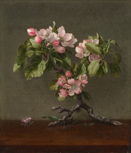 de Martin Johnson Heade