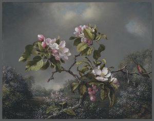 Flores de Maçã e Beija-Flor, 1871 de Martin Johnson Heade