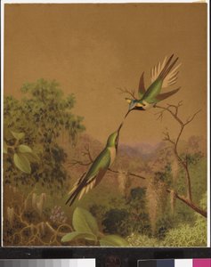 Beija-flores brasileiros IV de Martin Johnson Heade