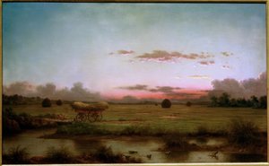 Os pântanos em Rhode Island de Martin Johnson Heade