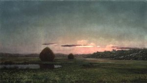 Pântanos (óleo sobre tela) de Martin Johnson Heade