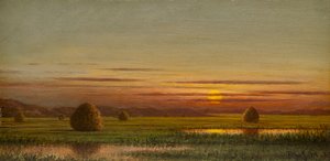 Pântanos de Martin Johnson Heade