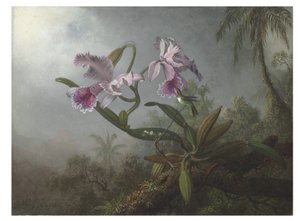 Orquídeas cor de rosa e beija-flor em um galho, 1875 de Martin Johnson Heade