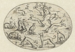 Oval com cães, cabras e coelhos Nev Thier Bvechlein (título da série) de Martin Pleginck
