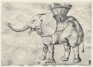 Um elefante com Howdah, c. 1485 de Martin Schongauer