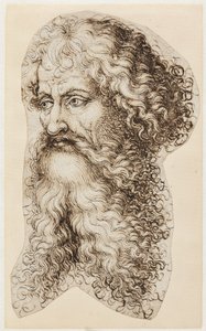 Cabeça de homem barbudo em perfil de três quartos à esquerda de Martin Schongauer