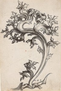 Ornamento de folhas de um cardo de Martin Schongauer