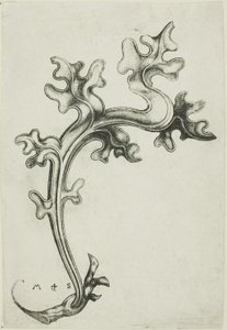 Ornamento de folhas de Martin Schongauer