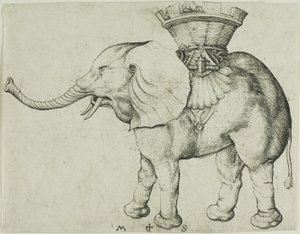 O Elefante de Martin Schongauer