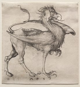 O Grifo de Martin Schongauer