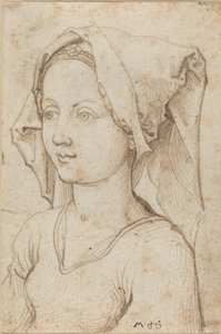 Mulher jovem vestindo um lenço de Martin Schongauer