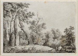 paisagem