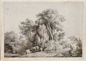 paisagem