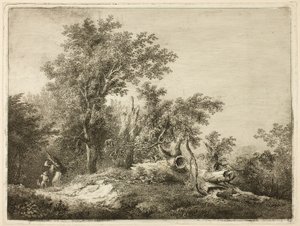 O tronco de árvore caído de Martin von Molitor
