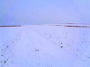 Campos no inverno de Martina Konitzky