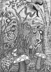Paisagem com cogumelos de Martina Konitzky