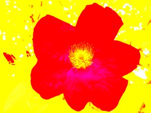 Popart Homenagem a Andy Warhol de Martina Konitzky