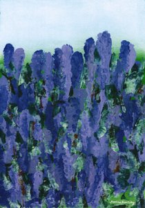 lavanda de Martina Konitzky