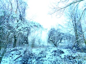 Azul inverno de Martina Konitzky