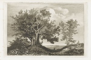 Estrada rural entre os dois lotes de árvores de Martinus Antonius Kuytenbrouwer jr.