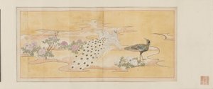 Esboço preparatório para uma pintura sobre biombo de Maruyama Okyo