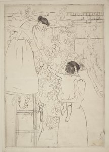 Colheita de Fruta de Mary Cassatt