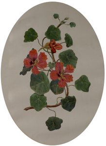 Chagas, c.1870 (óleo sobre papel) de Mary Dakeyne Townroe