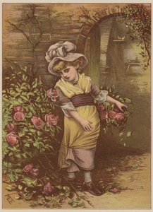 Menina, colheita, rosas, (chromolitho) de Mary Ellen Edwards