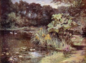 Scottish Gardens: Culzean (cor litho)