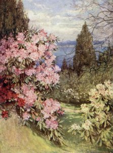 Jardins escoceses: Stonefield de Mary Georgina Wade Wilson
