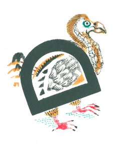 D é para dodo de Mary Kuper