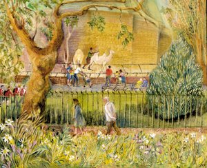 Jardim Zoológico de Londres, Camelos, 2003 (óleo a bordo) de Mary Kuper