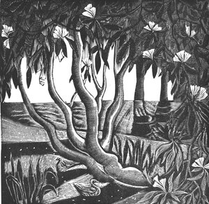 Rhododendrons, Holland Park, 2006 (gravura em vinil) de Mary Kuper