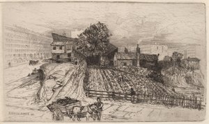 Uma fazenda urbana — Nova York de Mary Nimmo Moran