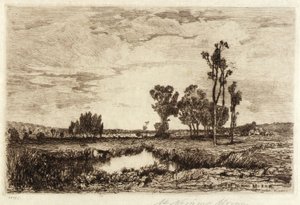 Gado numa lagoa de Mary Nimmo Moran
