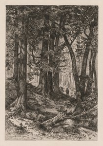 Interior de uma floresta de Califórnia após Thomas Moran American, 1837-1926, 1888.