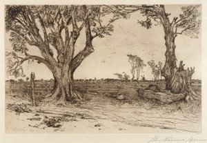 Old Lindens--Próximo de Easthampton de Mary Nimmo Moran