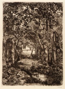 O mar através do bosque de Mary Nimmo Moran