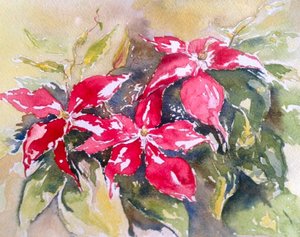Borgonha Clematis de Mary Smith