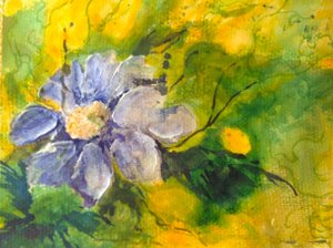 clematis no sol da tarde de Mary Smith