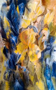 íris de ouro e azul