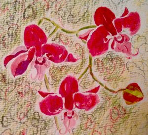 orquídeas de Mary Smith