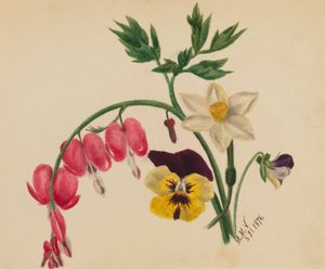 (Sem título--Mistura de flores) de Mary Vaux Walcott