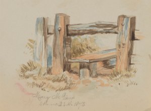 Sem título (Stile) de Mary Vaux Walcott