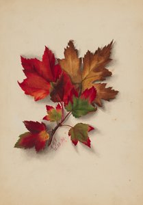 Folhas de Outono sem título, 1874.