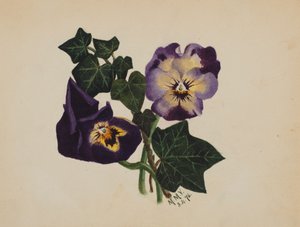 Amores-perfeitos sem título e Ivy, 1876. de Mary Vaux Walcott