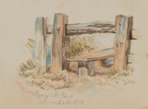 Untitled Stile, 1873. de Mary Vaux Walcott